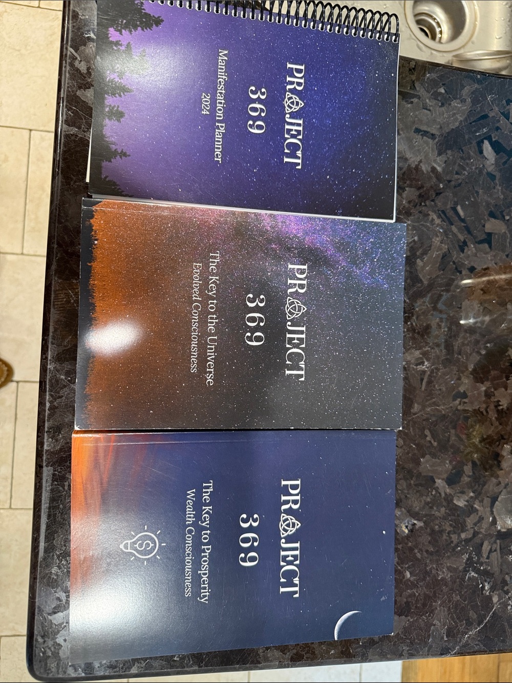 Y/Project 369 Manifestation books and planner